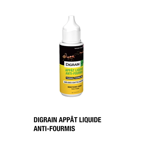 Digrain appat fourmis